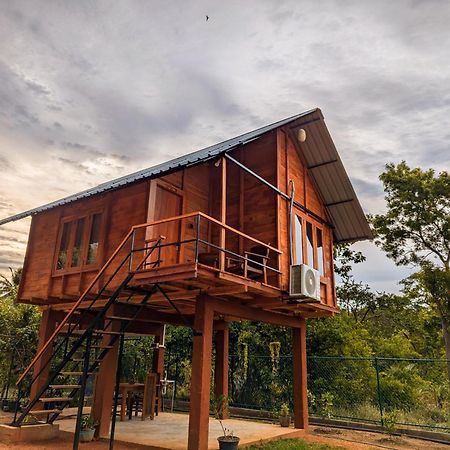 Lion Wood Treehouse Villa Talkote Ngoại thất bức ảnh