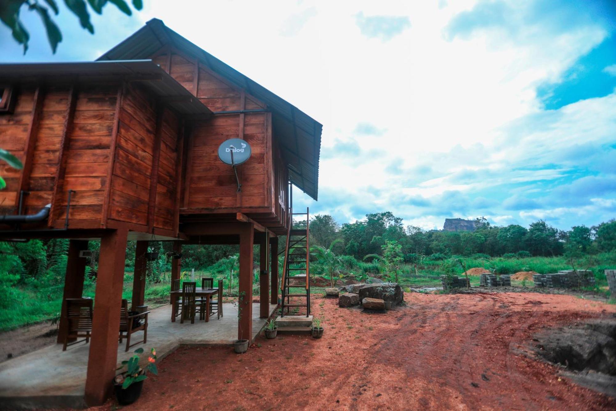 Lion Wood Treehouse Villa Talkote Ngoại thất bức ảnh