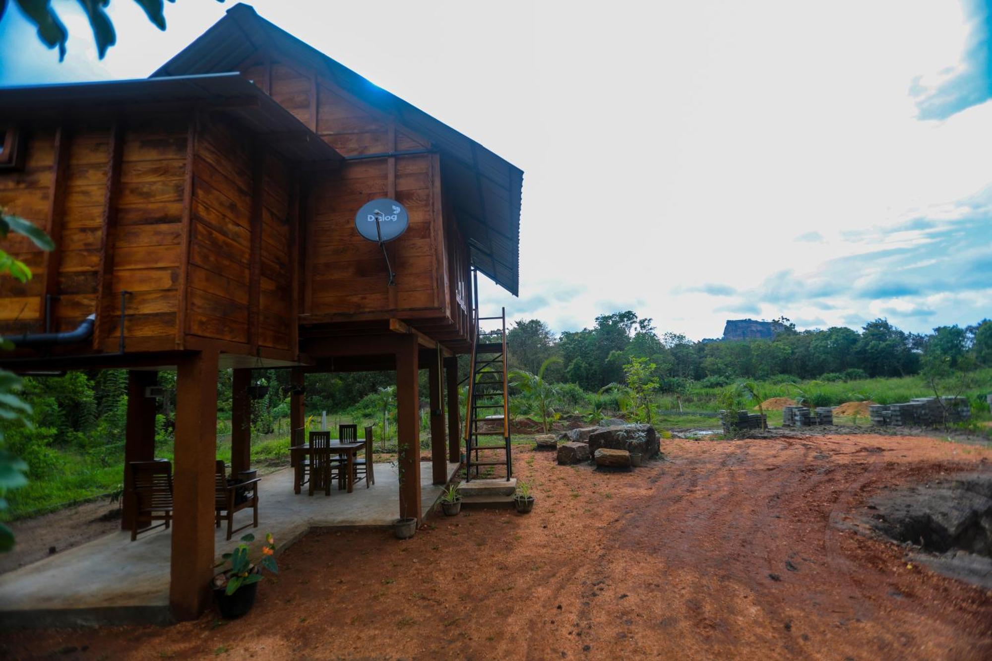 Lion Wood Treehouse Villa Talkote Ngoại thất bức ảnh