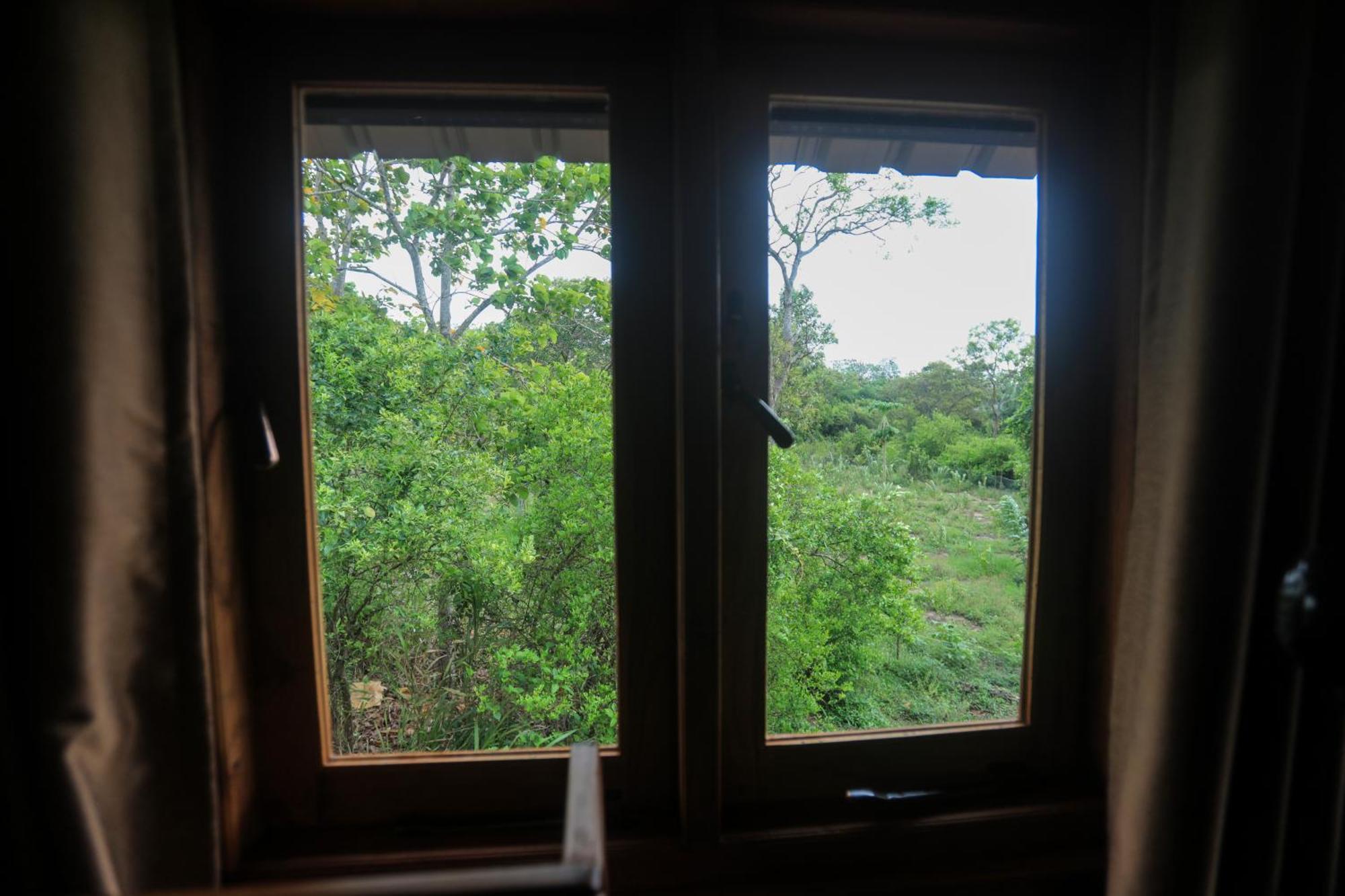 Lion Wood Treehouse Villa Talkote Ngoại thất bức ảnh