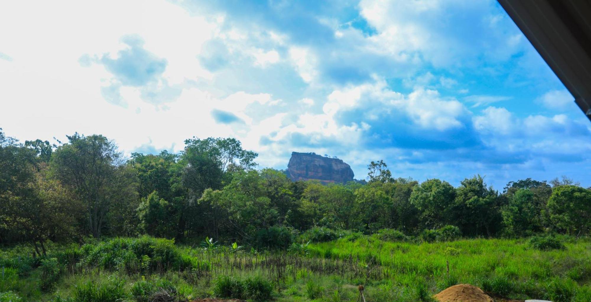 Lion Wood Treehouse Villa Talkote Ngoại thất bức ảnh