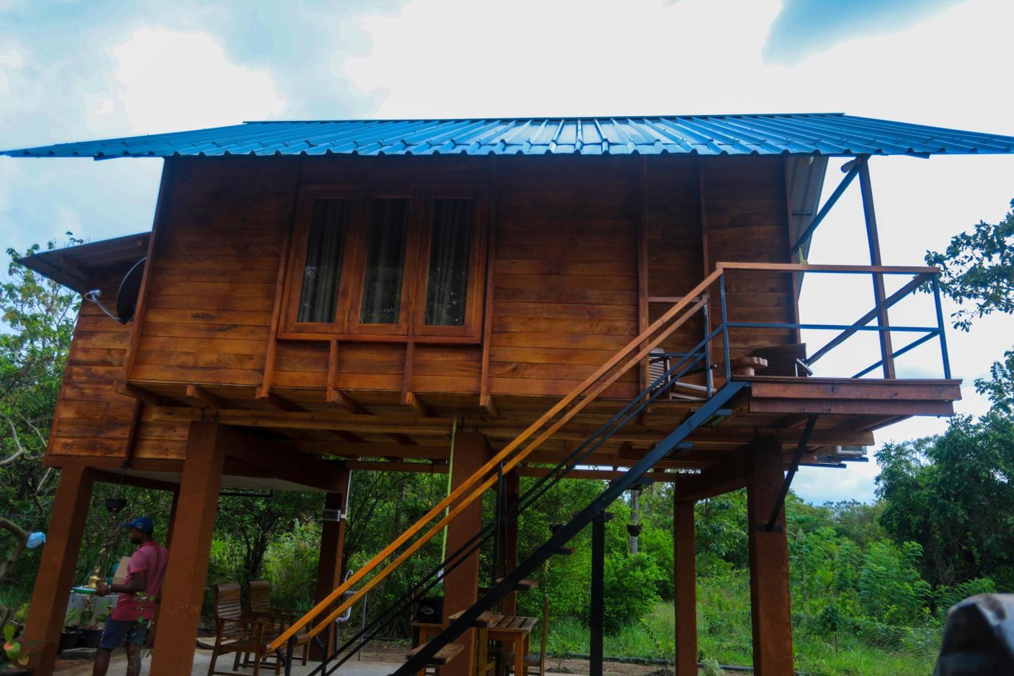 Lion Wood Treehouse Villa Talkote Ngoại thất bức ảnh