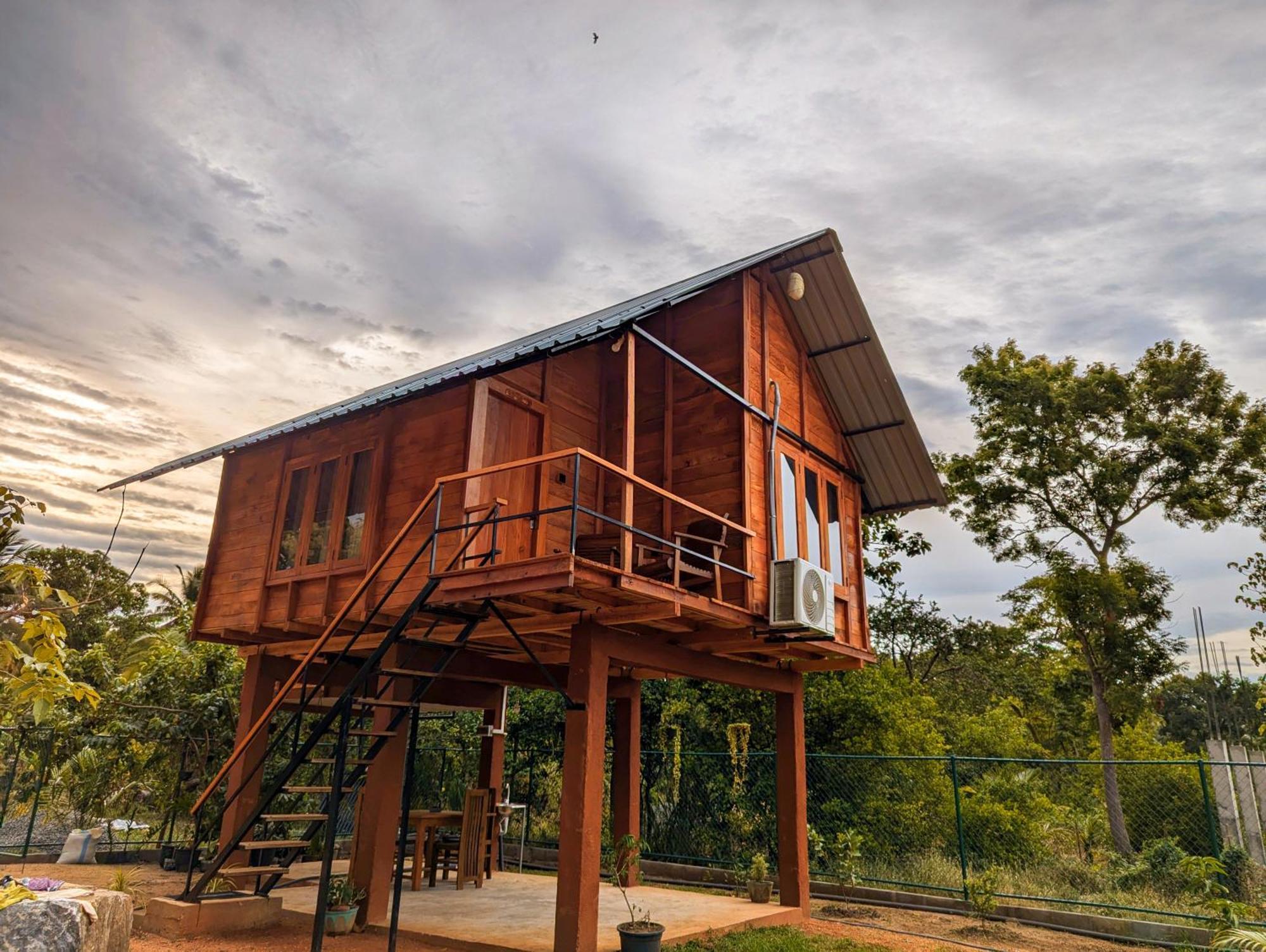 Lion Wood Treehouse Villa Talkote Ngoại thất bức ảnh