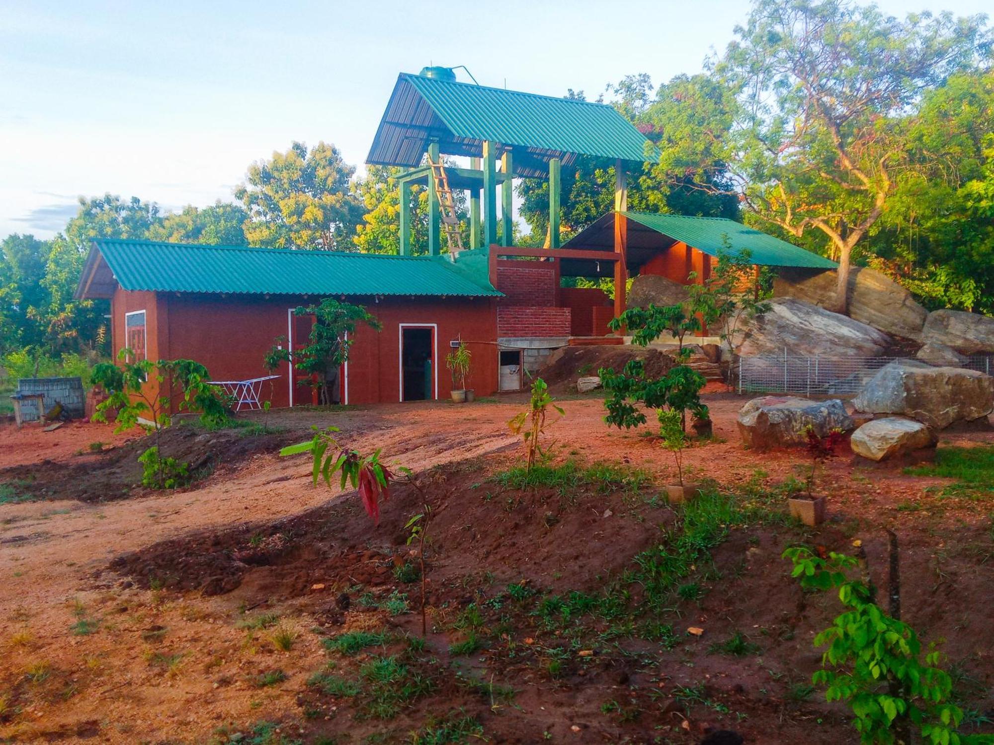 Lion Wood Treehouse Villa Talkote Ngoại thất bức ảnh