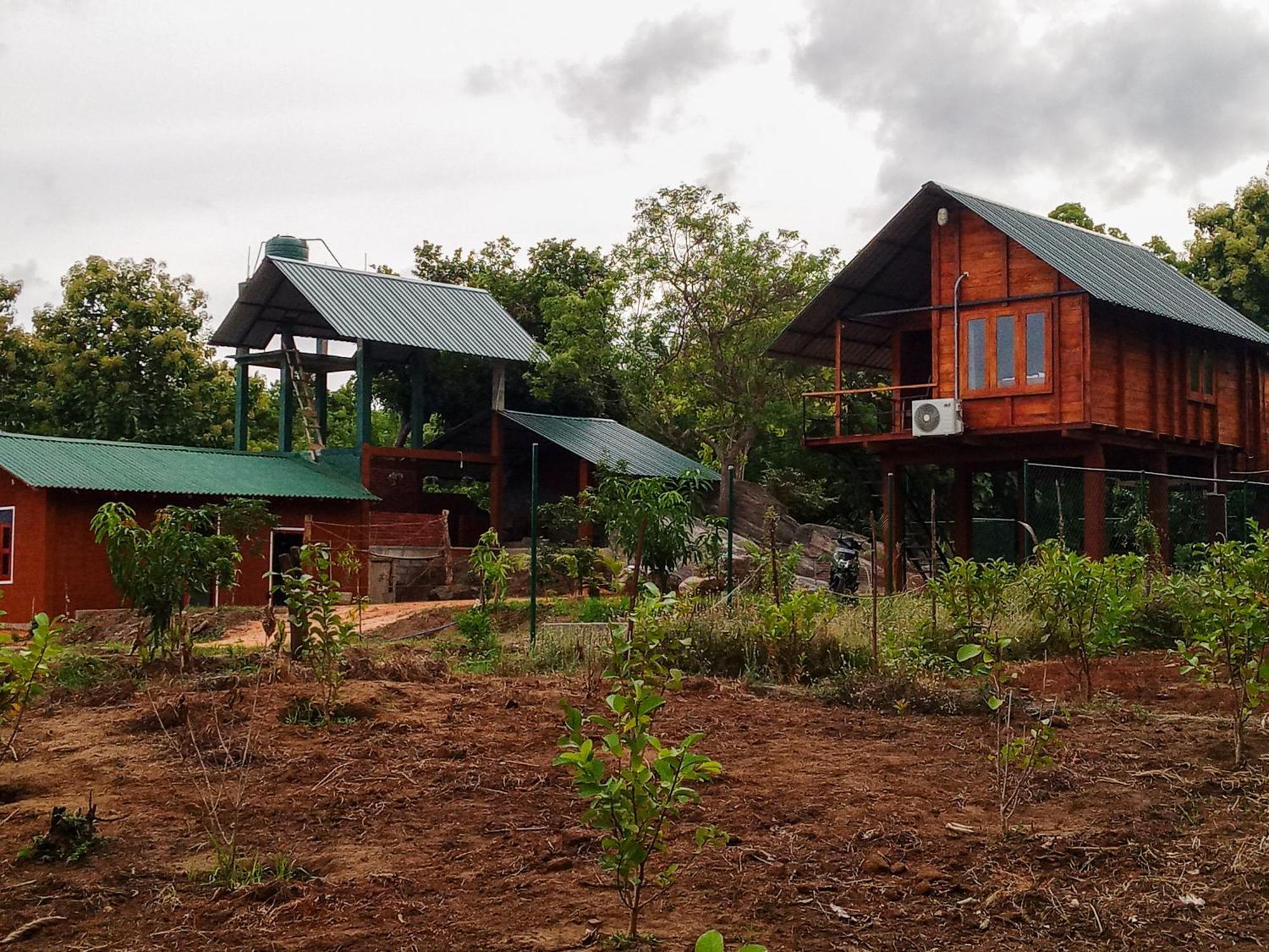Lion Wood Treehouse Villa Talkote Ngoại thất bức ảnh