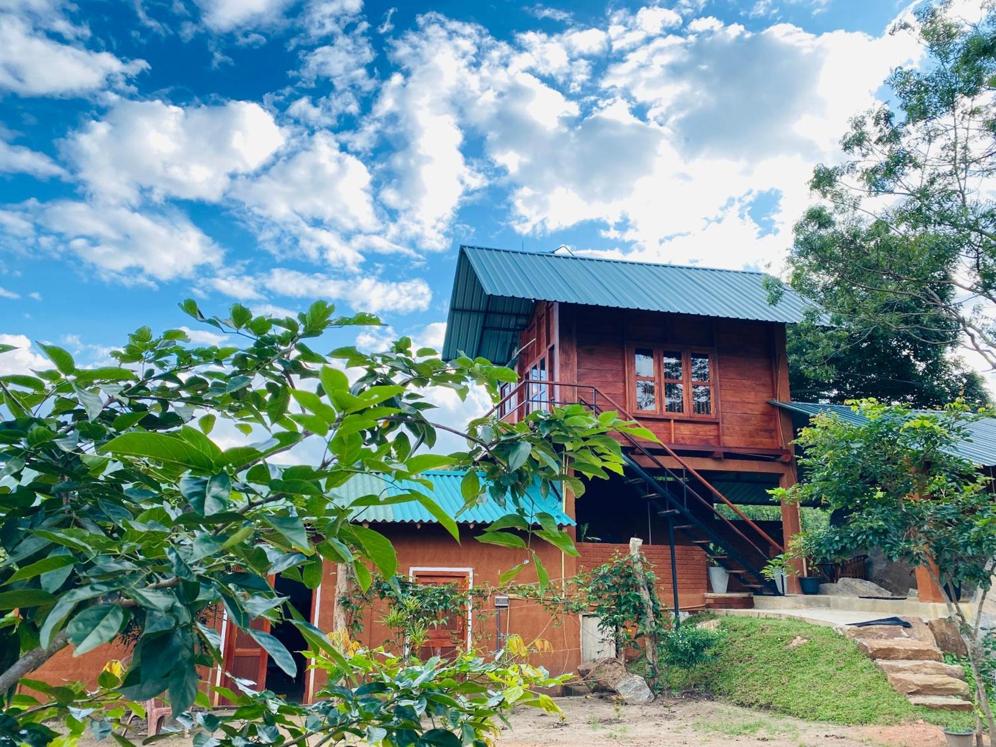 Lion Wood Treehouse Villa Talkote Ngoại thất bức ảnh