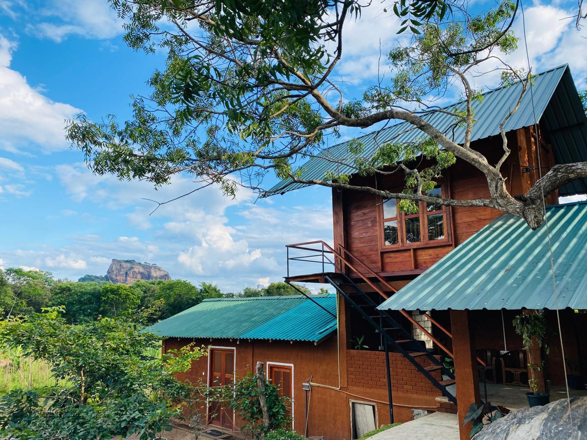 Lion Wood Treehouse Villa Talkote Ngoại thất bức ảnh